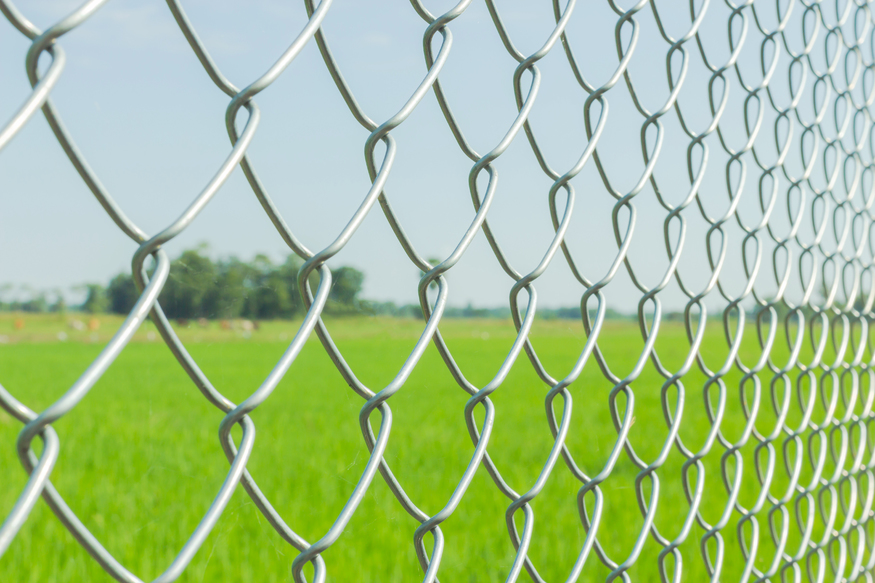 Wire Mesh Decking Image